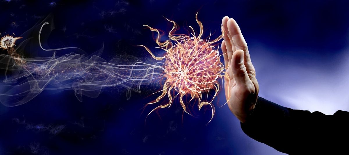 3 Primary Ways the Immune System Fights Viruses 