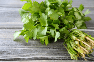 Cilantro as a detox spice