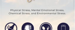 The 4 Pillars of Stress™