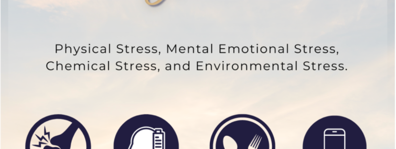 The 4 Pillars of Stress™