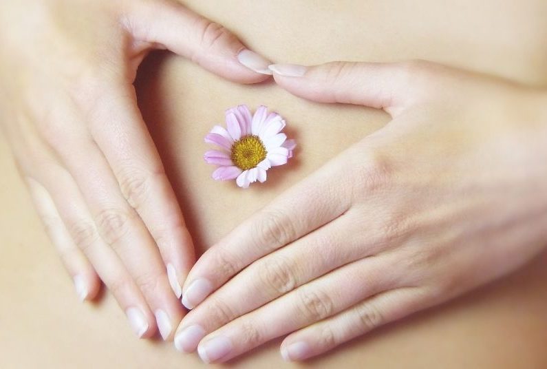 A person 's hands are shown with a flower in the middle of them.