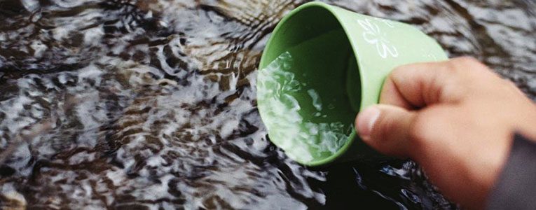 A person holding onto a green cup in the water